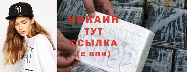 ECSTASY Вяземский