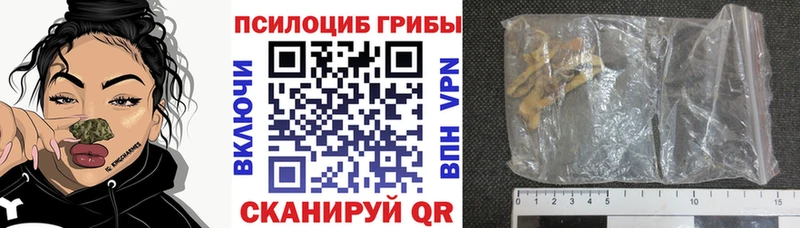 Псилоцибиновые грибы Psilocybine cubensis  купить наркоту  Чусовой 